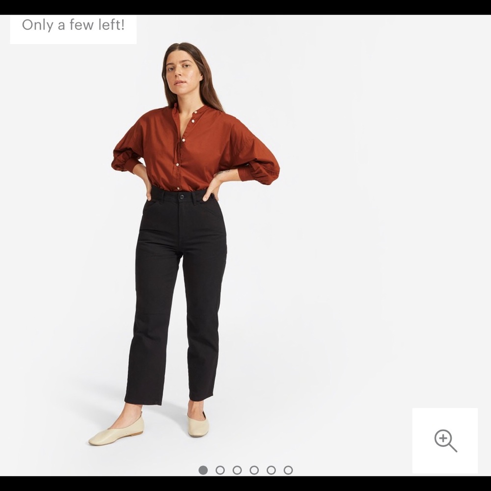 Everlane carpenter pant in black